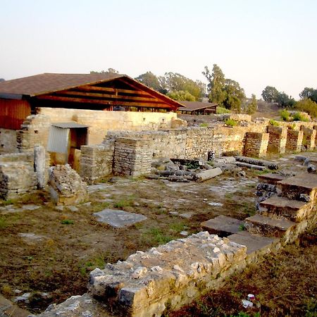 מיתיקאס Dionisos Hotel מראה חיצוני תמונה
